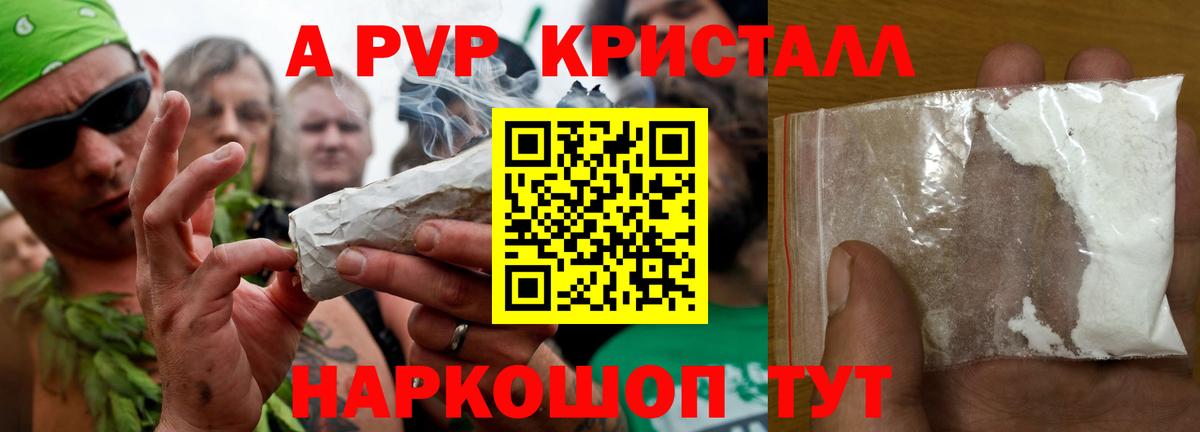 APVP СК Саратов
