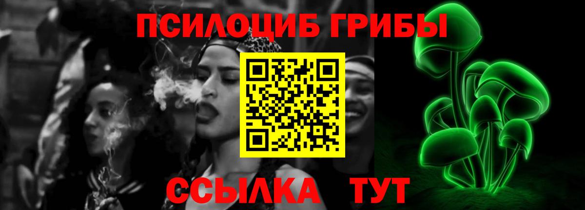 Саратов  Псилоцибиновые грибы Psilocybe  Вход с VPN  Галлюциногенные грибы MAGIC MUSHROOMS 